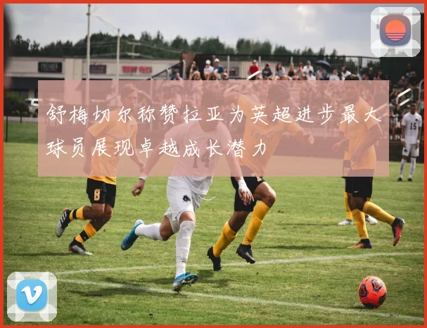 舒梅切尔称赞拉亚为英超进步最大球员展现卓越成长潜力