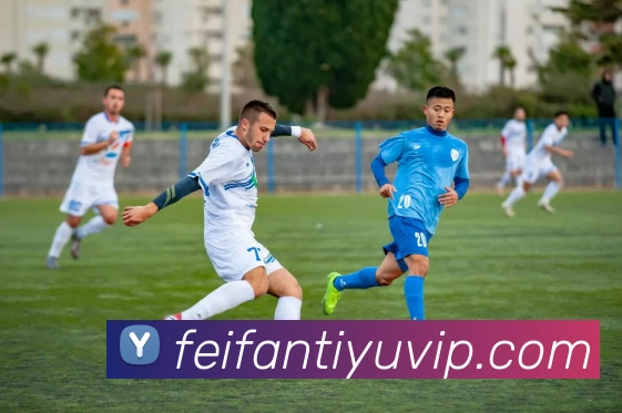 数据防护可视化